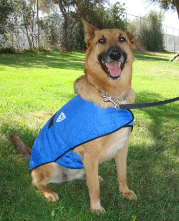 Chladící vesta pro psy HyperKewl modrá 15-20cm / XS - vytržený šev