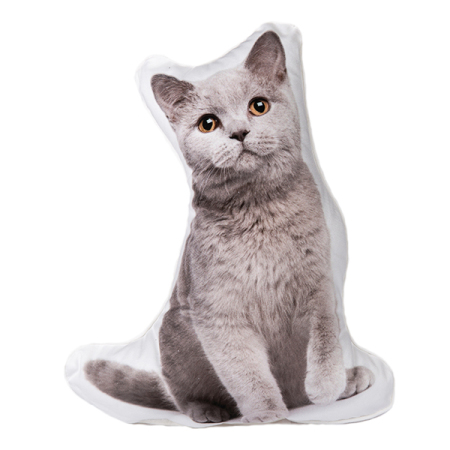 Polštářek 3D Pets - Britská krátkosrstá kočka, vel. M
