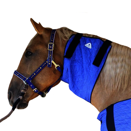 Chladící nákrčník pro koně HyperKewl Horse Neck modrý /L