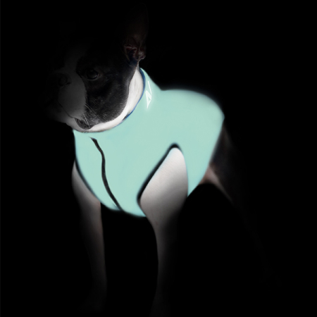 AiryVest Lumi bunda pro psy luminiscenční/modrá    S 30