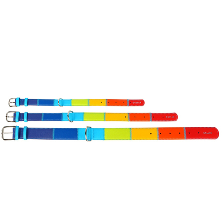 WAUDOG obojek kožený Rainbow (46-60cm/3,5cm) 