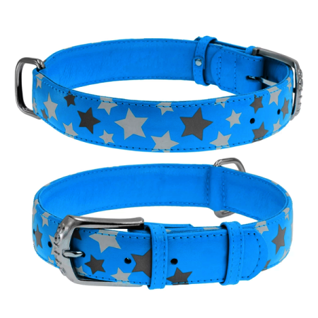 WAUDOG obojek kožený Stars modrý (38-49cm/2,5cm)