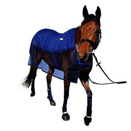 Chladící deka pro koně HyperKewl AeroChill  modrá