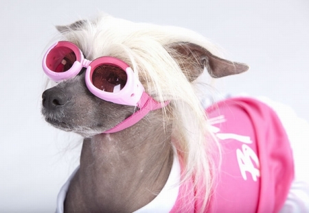 Doggles ILS - Sluneční a ochranné brýle pro psy Pink Mirror L