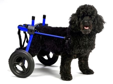 Invalidní vozík K-9 Cart vel.  M pro psy 10-20kg