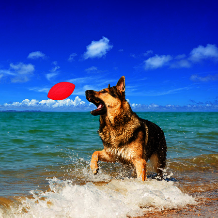 PitchDog Sport Ball míč pro psy růžový 9cm
