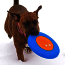 Orbee-Tuff® ZOOM Flyer Frisbee2