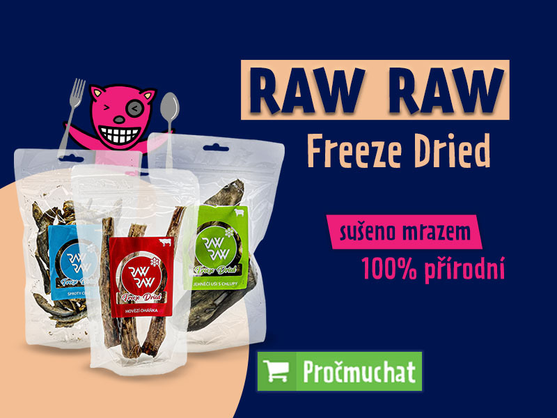 Raw Raw Freeze Dried žvýkací