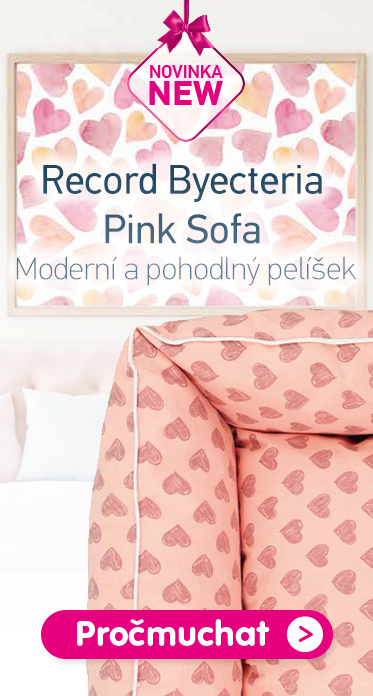Pelíšek Record Byecteria Pink Sofa