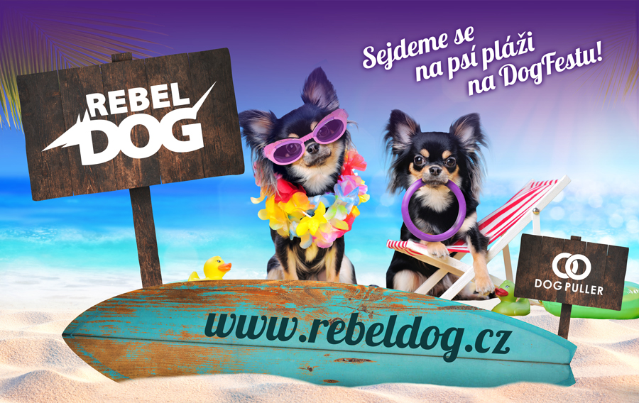 Rebel Dog na Dog Fest 2021